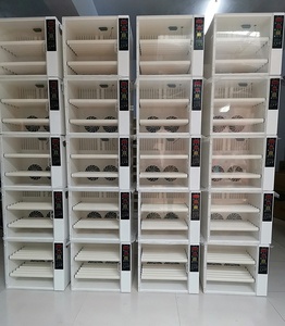 Incubateur <span class=keywords><strong>automatique</strong></span> à double puissance, capacité de <span class=keywords><strong>60</strong></span> unités, nouveau design - Product Image 5