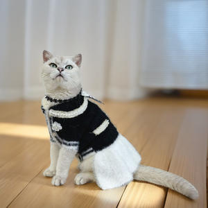 Großhandel Luxus Hunde kleidung XS Kleine Haustiere Designer Warm Cute für Winter Herbst Verwenden Sie Luxusmarke Mode Katze Hund Kleidung - Product Image 6