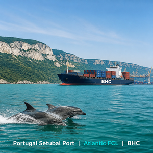 Agente <span class=keywords><strong>de</strong></span> Carga Marítima Premium BHC, FCL LCL, Transporte Especial <span class=keywords><strong>de</strong></span> China a Nashville, Herramientas y Equipos <span class=keywords><strong>de</strong></span> Jardinería - Product Image 5