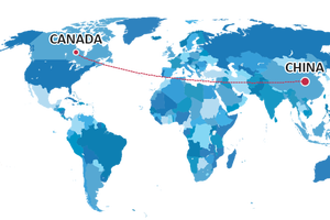 Ysf Logistiek Transporteert Collageen Eiwit Zachte Candy Vitamine C Supplementen Van China Naar Usa, Europa, Uk, Saudi-Arabië, Uae - Product Image 2