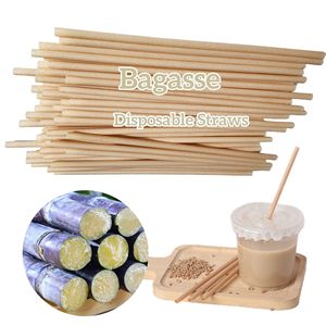 Cannucce di canna da zucchero biodegradabili 5in cannucce di canna da zucchero usa e getta ecocompatibili per cocktail di bevande calde fredde - Product Image 5