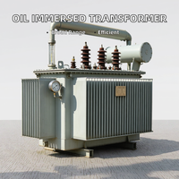 Transformateur immergé dans l'huile 30kVA 50kVA 80kVA 100kVA 125kVA Triphasé