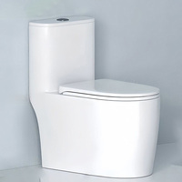 Ensemble de toilette monobloc gris au design moderne articles sanitaires en céramique toilettes à double chasse d'eau pour la maison