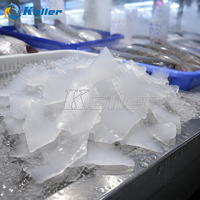 Machine à glace commerciale de taille moyenne, machine à glace pilée pour la viande et le poisson