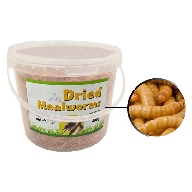400g Pet Food Improve Health Dried Mealworms in Plastic Tube