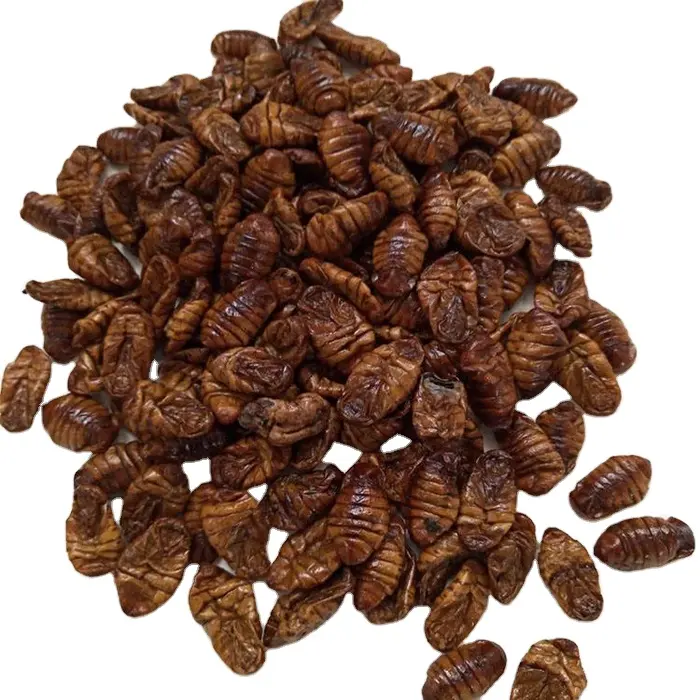 चिकन और पक्षियों के लिए उच्च प्रोटीन सूखे silkworms pupae