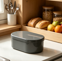 Boîte à lunch pour enfants en plastique PP, portable, préservant la fraîcheur, durable, ensemble de contenants de stockage alimentaire pour la cuisine et la maison