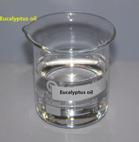 Huile Essentielle d'Eucalyptus Pure en Gros, Fournisseur d'Usine, Globulus Cineole 99%/80%, Prix de l'Huile d'Eucalyptus, Fabricant d'Huiles Essentielles