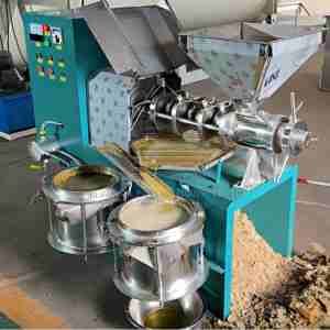 เครื่องกดน้ำมันอัตโนมัติสำหรับเมล็ดทานตะวัน มะกอก มะพร้าว ปาล์ม เครื่องสกัดน้ำมันไฮดรอลิก เครื่องสกัดน้ำมันปาล์มแบบสุญญากาศ - Product Image 5