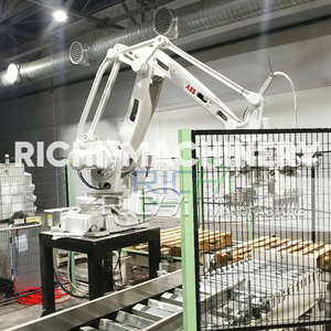 Machine d'emballage de granulés RICHI - Machine d'emballage de granulés de bois pour sacs de 15 kg, à économie d'énergie - Product Image 5