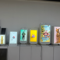 Boîte d'affichage vidéo pour exposition de bijoux et de musées, 21,5''-32'', 4K, 3D, hologramme, boîte transparente LCD, vitrine Holobox avec caméra