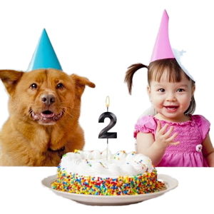 เทียนพาราฟินสำหรับปาร์ตี้วันเกิดสร้างแบบจำลองด้วยเม็ดเพชรสีดำโอเปร่า - Product Image 6