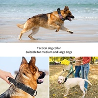 Collier de chien extra large en nylon réfléchissant réglable Pitbull, collier de chien tactique robuste en néoprène/métal/métal