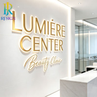 Enseigne lumineuse LED personnalisée de luxe en acier inoxydable avec lettres en relief, éclairée par LED, pour SPA, salon, clinique