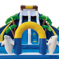 Toboggan aquatique gonflable commercial en PVC, thème dauphin tropical, double piste, capacité 500 kg, garantie 3 ans pour l'eau