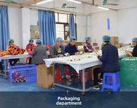 Fabricant de jouets en peluche personnalisés, concevez vos propres poupées sans quantité minimale de commande