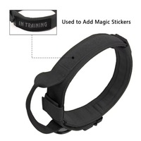 Collier pour chien tactique en nylon épais de haute qualité, vente en gros, pour l'entraînement des animaux de compagnie