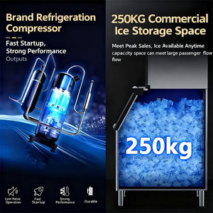 Máquina <span class=keywords><strong>de</strong></span> Hielo en Cubos Comercial <span class=keywords><strong>con</strong></span> Entrada para Botellas, 25kg-200kg, Acero Inoxidable, Multivoltaje (110V/220V/240V), <span class=keywords><strong>Precio</strong></span> <span class=keywords><strong>de</strong></span> Fábrica - Product Image 5