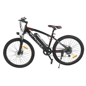 250 와트 새로운 모델 Bicicleta Electrica 전기 전동 자전거