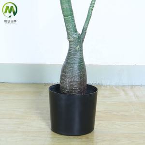 Árboles artificiales de plástico separados Real Touch dejan bonsái interior decorativo y árbol de níspero Pachira <span class=keywords><strong>Aquatica</strong></span> - Product Image 6