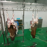 100 têtes par jour moderne vache abattoir usine bétail abattoir équipement d'abattoir