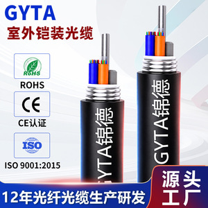 Cable Óptico Blindado Gyta G652d, Fibra Trenzada para Exteriores, para Ingeniería de Comunicaciones - Product Image 4