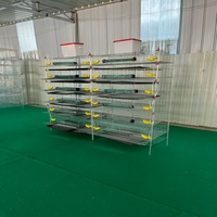 Cages de caille de ferme avicole de vente d'usine pour la production d'oeufs