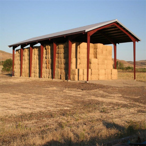 עיצוב קיר פתוח בסגנון בנייה מהירה מהירות טרומית מבנה פלדה אסם/בניין האנגר עם שיכת בידוד - Product Image 3