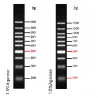 Gel Rouge Optimisé Pré-coloré pour Marqueur ADN pour Électrophorèse ADN sur Agarose Liquide 250 µl Pureté 99,9 %