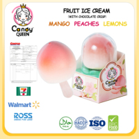 OEM Vente en gros de snacks exotiques, sucettes glacées au chocolat croustillant à la crème vanillée aromatisée à la mangue, au citron et à la pêche, boîte congelée en provenance de Chine