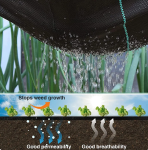 <span class=keywords><strong>Malla</strong></span> Antihierbas de HDPE y PP, <span class=keywords><strong>Malla</strong></span> de Cobertura para el Suelo, Rollo de Tela <span class=keywords><strong>Anti</strong></span>-UV para Agricultura, Invernaderos y Jardines - Product Image 3