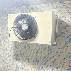 Low Price Mini Monoblock Refrigeration Units Mini Chambre Froide 20m3 Casters Optional Mobile Cold Room Walk in Freezer - Product Image 4