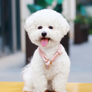 Collar para perro, collar de cuello para perro, collar de cadena semipuntiaguda a prueba de explosiones para perros pequeños, cadena para cachorros, collar de adiestramiento para perros, collar tipo P para perros - Product Image 1