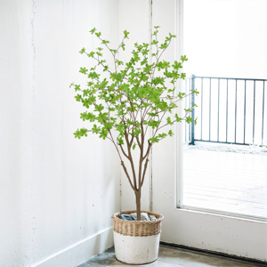 Venta caliente Artificial japonés campana árbol bonsái Enkianthus árbol hojas plantas en maceta realistas para Centro Comercial <span class=keywords><strong>restaurante</strong></span> decoración 5 pies - Product Image 2