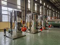 Générateur de vapeur industriel automatique vertical ZFQ pour le chauffage des vignobles (huile combustible et gaz)