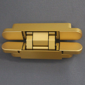 Iç kapı altın 40Kg 80kg 120kg ağır 180 derece üç yönlü ayarlanabilir gizli kapı menteşesi - Product Image 2