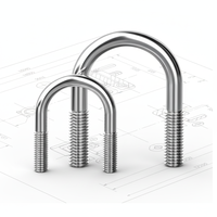 Boulons en U en acier inoxydable ISO Standard 304 316, DIN 3570, colliers de serrage pour tuyaux, colliers de serrage pour tuyaux à bride, galvanisés