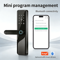 Serrure de porte intelligente WiFi avec empreinte digitale, contrôle par application, pour portes en bois, aluminium, verre, acier inoxydable, stockage Cloud/carte mémoire
