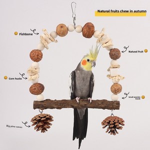 Set di altalena pappagallo di lusso noci pigne di frutta selvatica ossa di seppia pepe legno-giocattoli da masticare per animali domestici di alta qualità alleviano la noia - Product Image 2