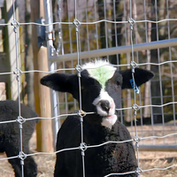 Clôture en treillis métallique tissé pour fermes d'élevage (bovins, caprins, ovins, cervidés) - Offre Spéciale