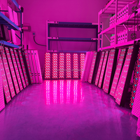 Thérapie par lumière rouge 1000W, panneau noir avec LED 660nm, 850nm pour les soins de la peau à domicile avec support