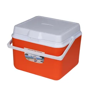 Nuovi prodotti alla moda Food Grade Cooler solare Cooler Box ghiacciaia