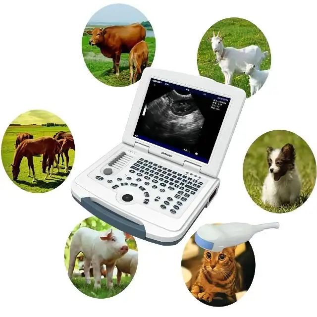Dawei Portable Laptop Vet Ultrasound Scanner Machine Device Price for Animals