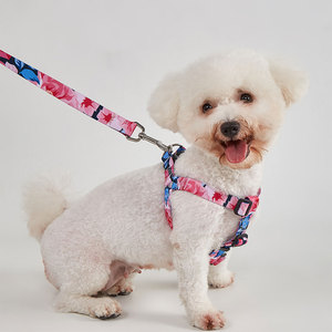 Conjunto de Arnés y Correa para Perro con Estampado Floral, Cierre de Hebilla Ajustable, Talla Pequeña, Estilo Moderno para Perros - Product Image 5