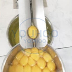 Machine-outil manuelle de fissuration <span class=keywords><strong>d</strong></span>'oeufs <span class=keywords><strong>d</strong></span>'équipement de production <span class=keywords><strong>liquide</strong></span> <span class=keywords><strong>d</strong></span>'oeufs bon marché commerciaux pour le <span class=keywords><strong>blanc</strong></span> et le jaune - Product Image 5