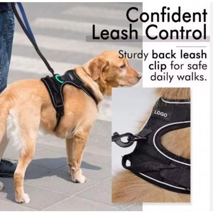 Harnais anti-évasion sans traction, réfléchissant, réglable, rembourré, robuste, pour chien, avec laisse, échantillon gratuit - Product Image 4