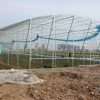 Petite serre serre Jardin Poulailler Polycarbonate Solaires Serres pour équipement agricole agricole
