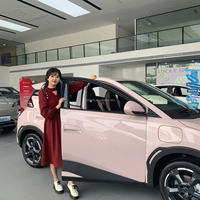 2024 Byd Seagull nouveau modèle de petit véhicule électrique à énergie nouvelle comme première voiture Byd Seagull 2023 pour jeune