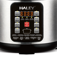 Cuisinière électrique intelligente multifonctionnelle HALEY, fabrication directe en usine, OEM/ODM, pour les essentiels de la maison