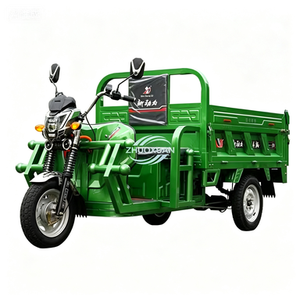 Tricycle électrique fermé résistant aux intempéries pour 3 personnes - Product Image 4